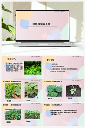 我给秧苗安个家 课件+教案 人民版小学劳动一年级上册