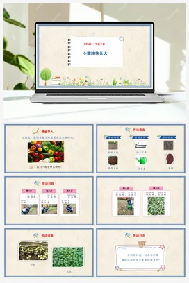 小菜秧快长大 课件+教案 人民版小学劳动一年级下册