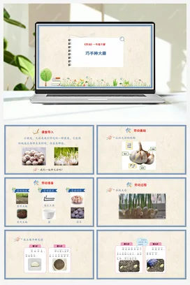 巧手种大蒜 课件+教案 人民版小学劳动一年级下册