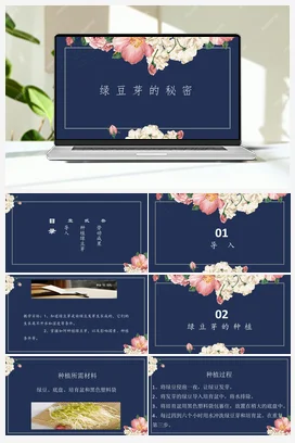 绿豆芽的秘密+课件 人民版小学劳动二年级上册