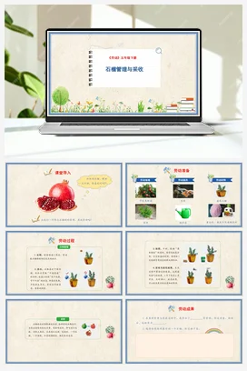 石榴管理与采收 课件+教案 人民版小学劳动五年级下册