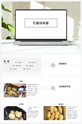 贮藏马铃薯 课件+教案 人民版小学劳动六年级上册