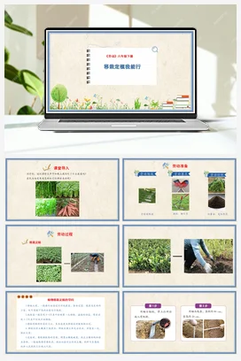 移栽定植我能行 课件+教案 人民版小学劳动六年级下册