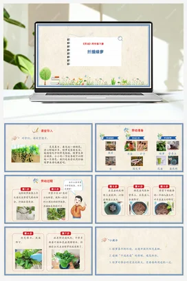 扦插绿萝 课件+教案 人民版小学劳动四年级下册