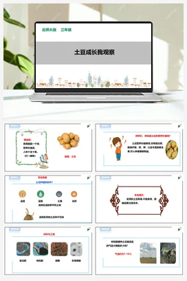 豆芽种植我在行 课件 教案 北师大二年级