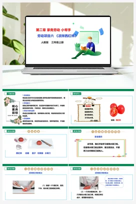 《凉拌西红柿》课件+教案+素材 人教版劳动三上