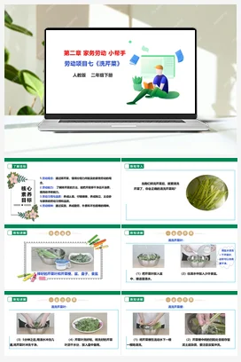 《洗芹菜》 课件+教案+素材 人教版劳动二上