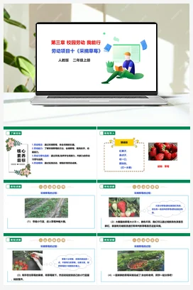 《采摘草莓》课件+教案+素材 人教版劳动二上