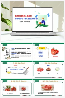 《做几道西红柿菜肴》课件+教案+素材 人教版劳动六上