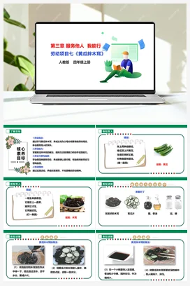 《黄瓜拌木耳》课件+教案+素材 人教版劳动四上