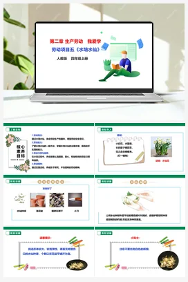 《水培水仙》课件+教案+素材 人教版劳动四上