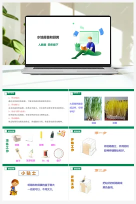《水培蒜苗蒜黄》课件+教案+教案 素材 人教版劳动四下