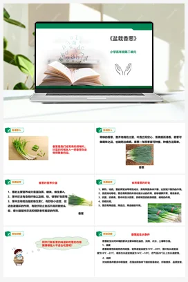 《盆栽香葱》课件+教案小学劳动教育 通用