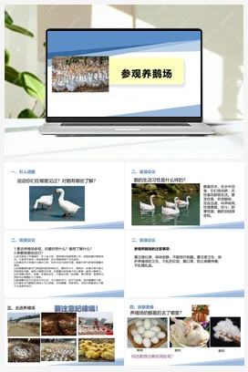 参观养鹅场（课件+教案）-一年级上册劳动教育“小农庄”（校本课程）