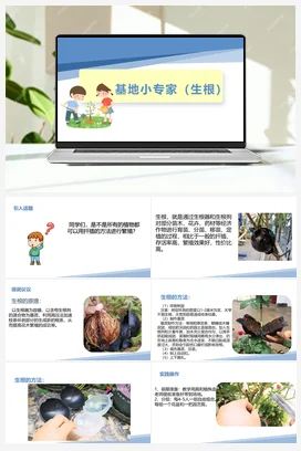 基地小专家（生根）（课件+教案）-六年级上册劳动教育“小农庄”（校本课程）