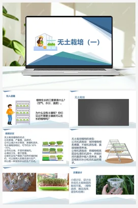 无土栽培（一）（课件+教案）-六年级上册劳动教育“小农庄”（校本课程）