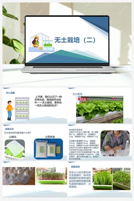 无土栽培（二）（课件+教案）-六年级上册劳动教育“小农庄”（校本课程）