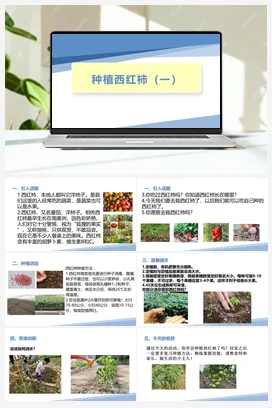 种植西红柿（一）（课件+教案）-四年级上册劳动教育“小农庄”（校本课程）