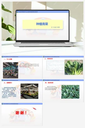 种植青菜（二）（课件+教案）-三年级上册劳动教育”小农庄“（校本课程）