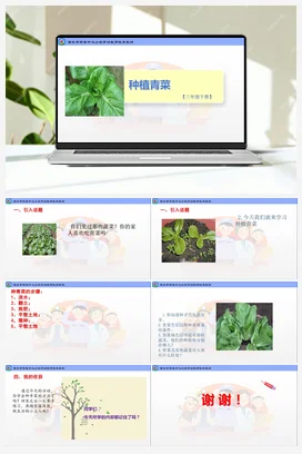种植青菜（一）（课件+教案）-三年级上册劳动教育”小农庄“（校本课程）