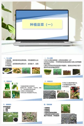 种植韭菜（一）（课件+教案）-四年级上册劳动教育“小农庄”（校本课程）