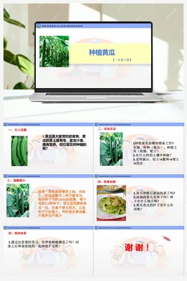 种植黄瓜（一）（课件+教案）-三年级上册劳动教育”小农庄“（校本课程）