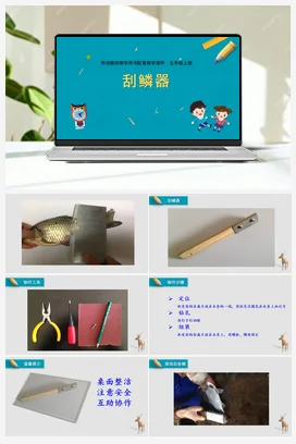 第6课刮鳞器 苏教版劳动五年级上册