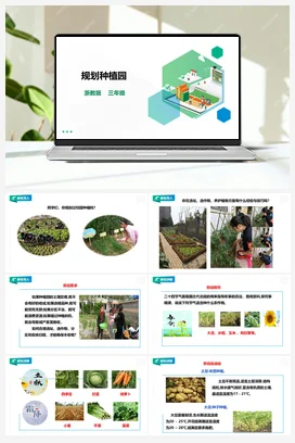 《规划种植园》 教案+课件 浙教版劳动 三下 项目四 任务1