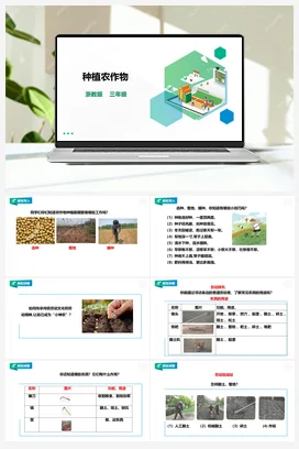《种植农作物 》 教案+课件 浙教版劳动 三下 项目四 任务2