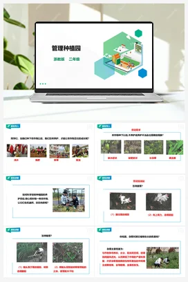 《管理种植园》 教案+课件 浙教版劳动 三下 项目四 任务3