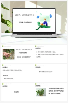 水培植物我养护 浙教版劳动一上 项目四 任务3