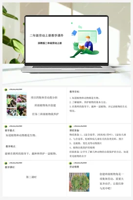 班级植物我养护 课件+教案 浙教版劳动二上 项目四 任务3