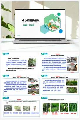 《小小菜园我规划》 教案+课件 浙教版劳动四下 项目二 任务1