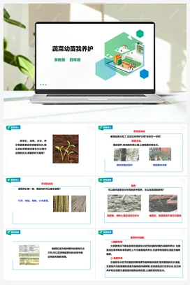 《蔬菜幼苗我养护》 教案+课件 浙教版劳动四下 项目二 任务3
