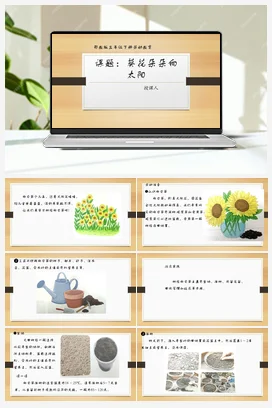 纸巾筒芯巧变身 课件 教案 北师大二年级