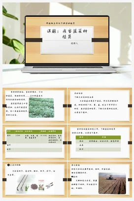 《我是厨房小帮手》 课件 教案 北师大一年级