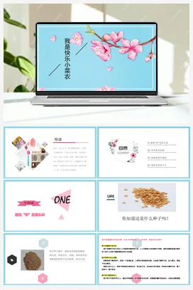 我当商品分类员教案 鄂教版劳动六年级上册