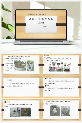 一起来种太阳花 课件 教案 北师大二年级