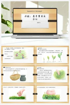 《我帮垃圾找个‘家’》 课件 教案 北师大一年级