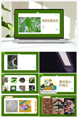勤劳的蚕宝宝（课件+教案） 人教版小学美术一年级上册