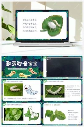 第2课-勤劳的蚕宝宝（课件+视频） 人教版小学美术一年级上册