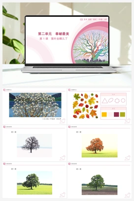 第1课 落叶去哪儿了（课件）-人教版（2024）美术一年级上册