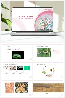 第2课 勤劳的蚕宝宝（课件）-人教版（2024）美术一年级上册