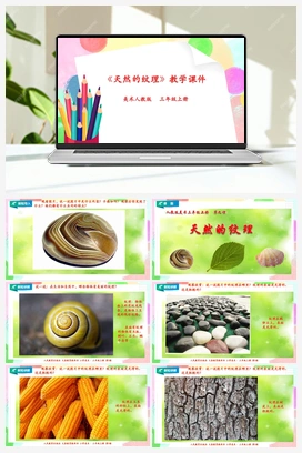 第9课 天然的纹理（课件+教案） 人教版小学美术三年级上册