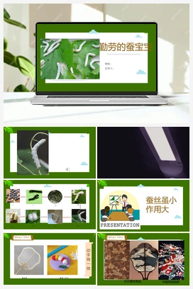 勤劳的蚕宝宝 课件 人教版小学美术一年级上册