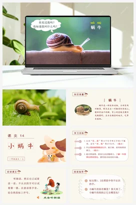 人教版语文一上 第八单元 小蜗牛 课件+教案