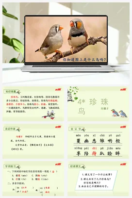 人教版语文五上第一单元 4.珍珠鸟 课件+教案