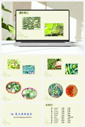 人教版语文六上 第五单元16夏天里的成长 课件+教案