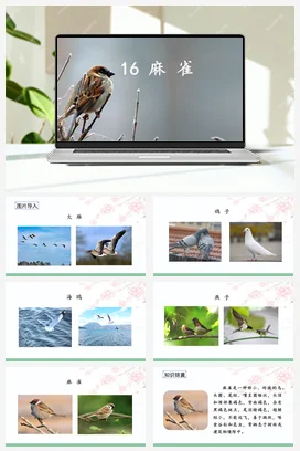 人教版语文四上第五单元 16 麻雀 课件+教案