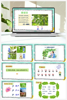 14 我要的是葫芦（课件） 人教版小学语文二年级上册 第5单元